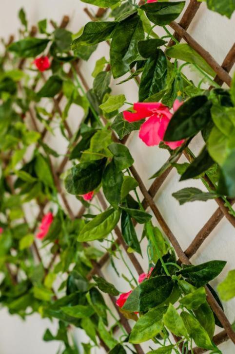 Amazing Location & Great Price Apartment Cancun Ngoại thất bức ảnh